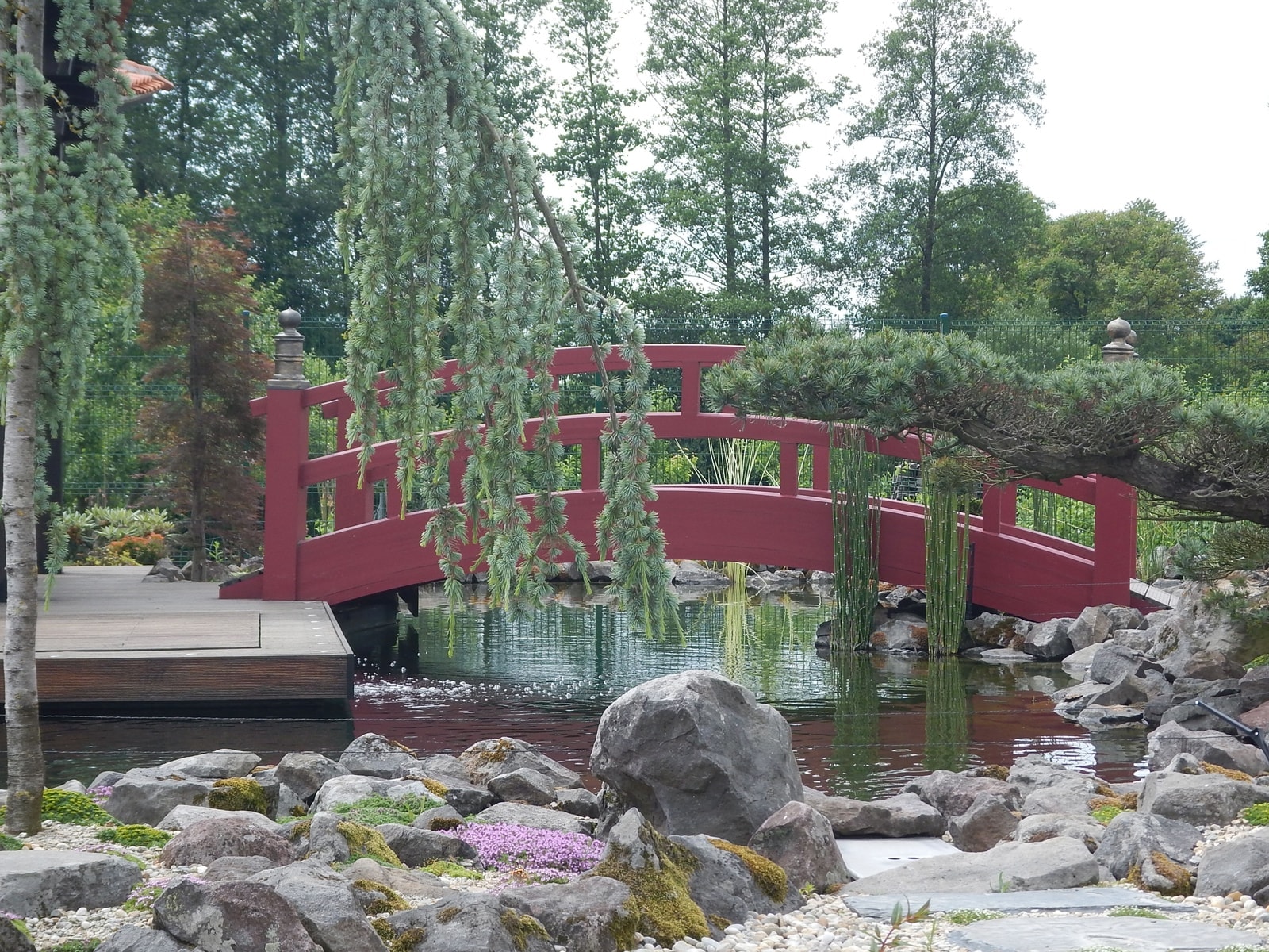 Japanese bridge and garden